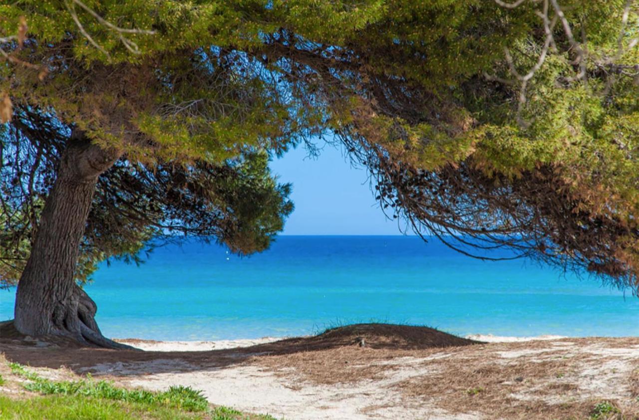 Apartment Countess Garden 2-1, Sun Of The Bay Vidalba 1, At Alcudia Beach Port de Alcudia  Esterno foto